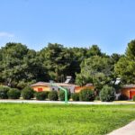 Παιδικές εξοχές κατασκήνωση Άγιο Ανδρέα 2026