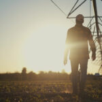 Φωτιά Νεοχώρι Πηλίου με εναέρια μέσα