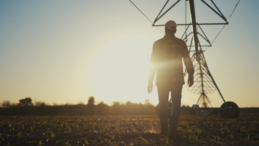 Φωτιά Νεοχώρι Πηλίου με εναέρια μέσα