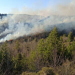 Πυροσβέστες καταsibeνουν φωτιά Καρυές Λακωνίας Πάρνωνα