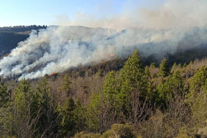 Πυροσβέστες καταsibeνουν φωτιά Καρυές Λακωνίας Πάρνωνα