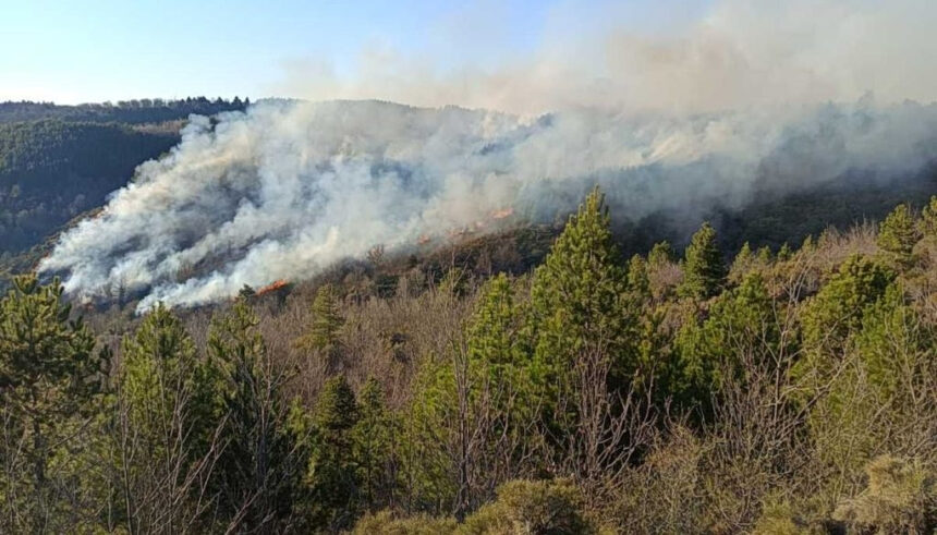 Πυροσβέστες καταsibeνουν φωτιά Καρυές Λακωνίας Πάρνωνα