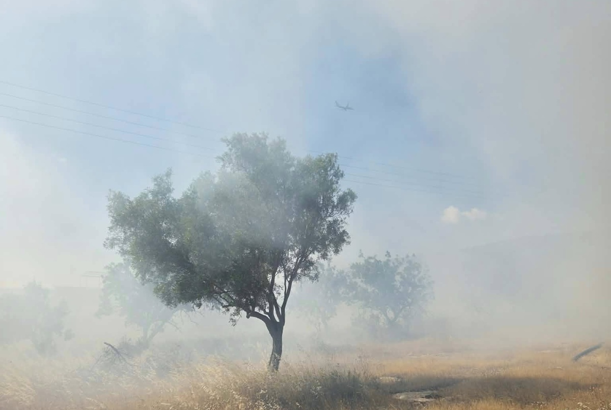 Φωτιά στα Καλύβια Θορικού με πυροσβεστικές δυνάμεις