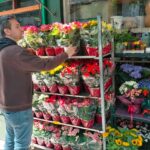 Γλάστρες βιγόνια για γιορτή της μητέρας στη Θεσσαλονίκη