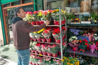 Γλάστρες βιγόνια για γιορτή της μητέρας στη Θεσσαλονίκη