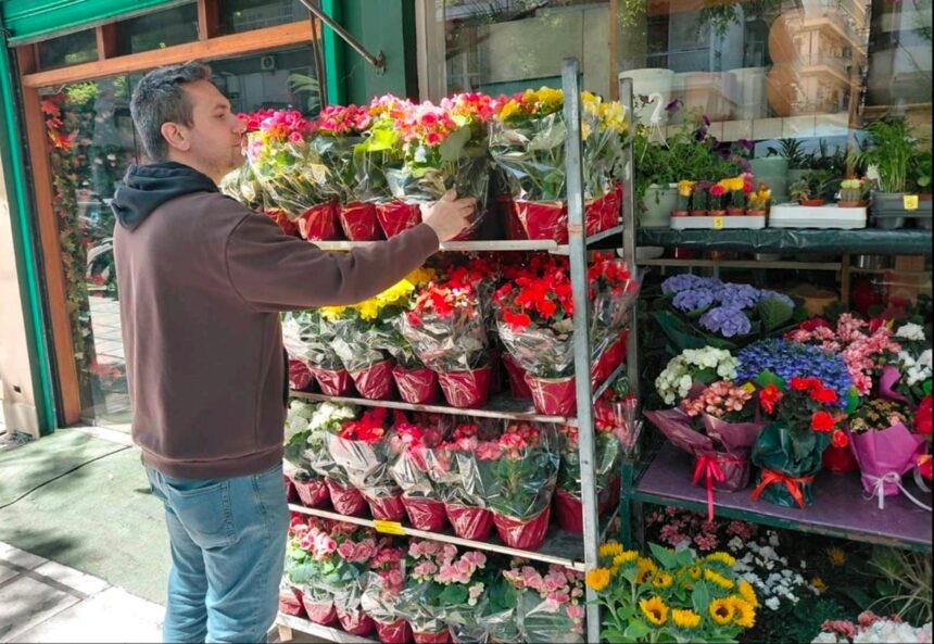 Γλάστρες βιγόνια για γιορτή της μητέρας στη Θεσσαλονίκη