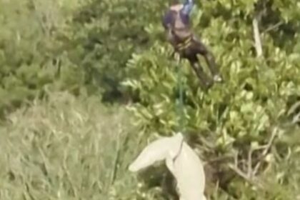 Άνδρας κατασπαράχθηκε από κροκόδειλο στον ποταμό Komati