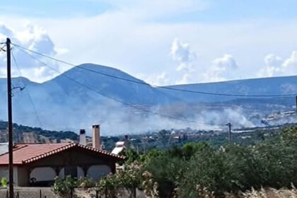 Φωτιά στα Καλύβια Θορικού με πυροσβεστικές δυνάμεις