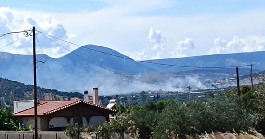 Φωτιά στα Καλύβια Θορικού με πυροσβεστικές δυνάμεις