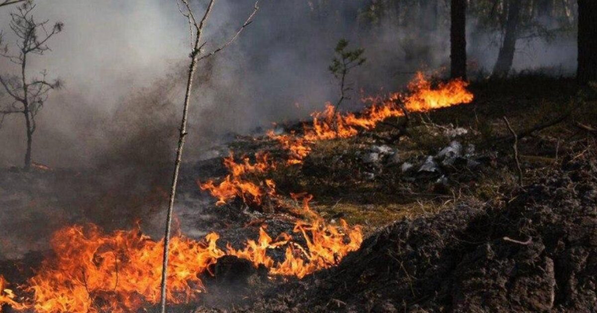 φωτιά Τσερνόμπιλ στην απαγορευμένη ζώνη μετά drone
