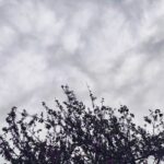 τοπικές βροχές και βοριάδες στην Ελλάδα μετεωρολογία