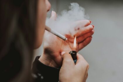 Σουηδία smoke-free 4,8% snus