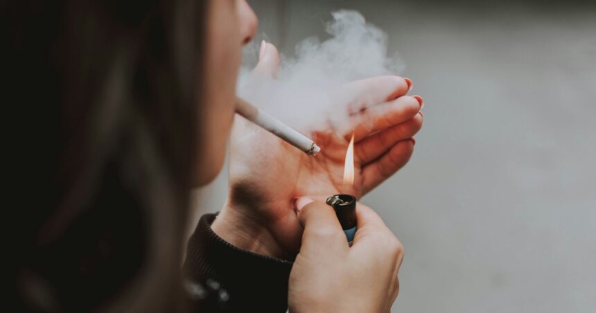 Σουηδία smoke-free 4,8% snus