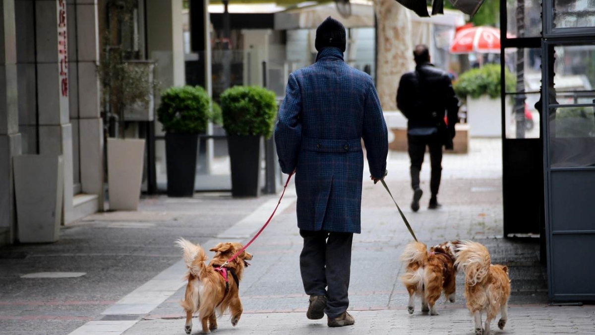 Λάρισα Βόλος τοπική κόντρα πόλεων