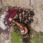 ταφές ζώων αφθώδης πυρετός Λέσβος κοντά Σκαλοχώρι