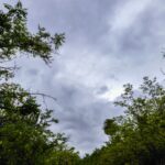 Χειμωνιάτικος καιρός στην Ελλάδα με βροχές και ισχυρούς ανέμους