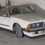 BMW Σειρά 6 E24 633CSi μετά το detailing