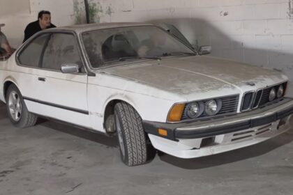 BMW Σειρά 6 E24 633CSi μετά το detailing