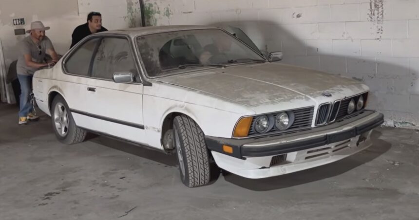 BMW Σειρά 6 E24 633CSi μετά το detailing