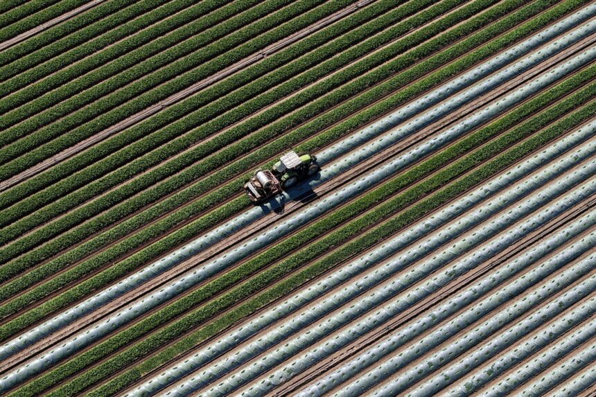 ΕΑΕ 2025 Agrisnap υποβολή φωτογραφιών με γεωσήμανση