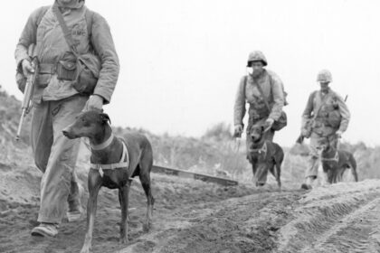 Πετρίτσι 1925 σύγκρουση Ελλάδα Βουλγαρία