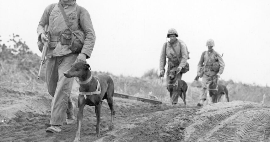 Πετρίτσι 1925 σύγκρουση Ελλάδα Βουλγαρία