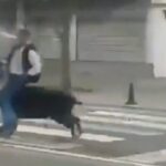 αγριογούρουνο Batman Τουρκία επιτίθεται σε δρόμο