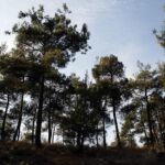 φόροι ακινήτων 2027 νέα τέλη μέσω ρεύματος