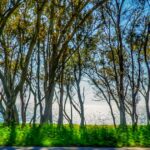 Καιρός με θερμοκρασία 27°C μετά τα χιόνια