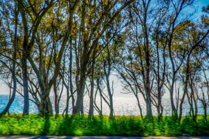Καιρός με θερμοκρασία 27°C μετά τα χιόνια