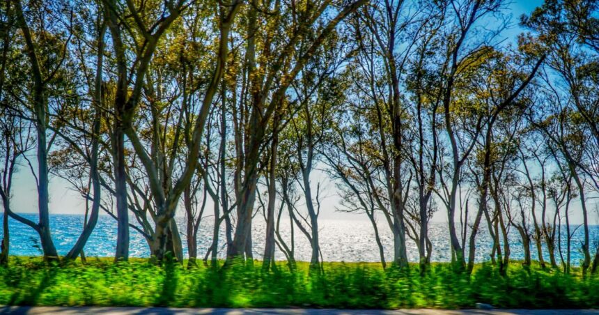 Καιρός με θερμοκρασία 27°C μετά τα χιόνια