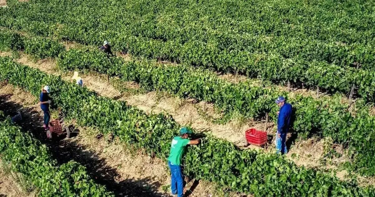 ΑΑΔΕ ανάκτηση 2023 ειδοποιήσεις δικαιούχοι