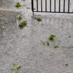 χαλαζόπτωση Ηράκλειο καταστροφή αμπελώνων
