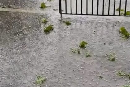 χαλαζόπτωση Ηράκλειο καταστροφή αμπελώνων