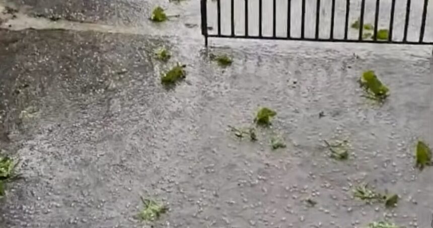 χαλαζόπτωση Ηράκλειο καταστροφή αμπελώνων