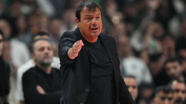 διαιτησία Παναθηναϊκός Βαλένθια στο Telekom Center Athens