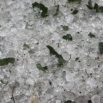 Κατεστραμμένες καλλιέργειες μετά τη χαλαζόπτωση στο Κιλκίς