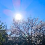 Καιρός 13 Μαΐου με τοπικές βροχές και άνεμους