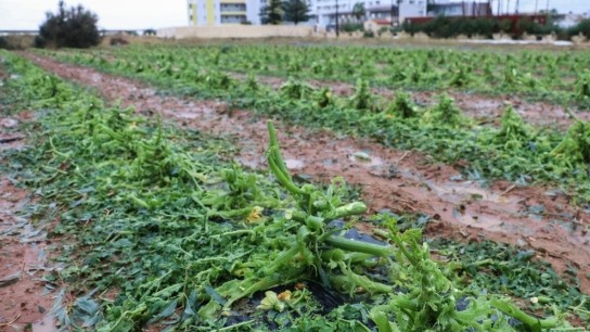 χαλαζόπτωση Ηράκλειο καταστροφή αμπελώνων