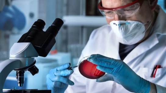 Klebsiella pneumoniae ST39 γονίδιο blaKPC-2 στην Ελλάδα