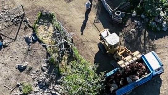 ταφές ζώων αφθώδης πυρετός Λέσβος κοντά Σκαλοχώρι