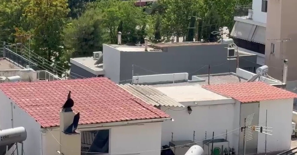 έξι παιδιά Περιστέρι σε νοσηλεία και έρευνα