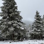 μαγιάτικος χιονιάς στην Πάρνηθα με χιόνι