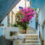 διεθνές συμπόσιο Τήνος γαστρονομία και βιωσιμότητα