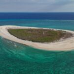 Drones εξάλειψαν ποντίκια στο Browse Island