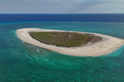 Drones εξάλειψαν ποντίκια στο Browse Island