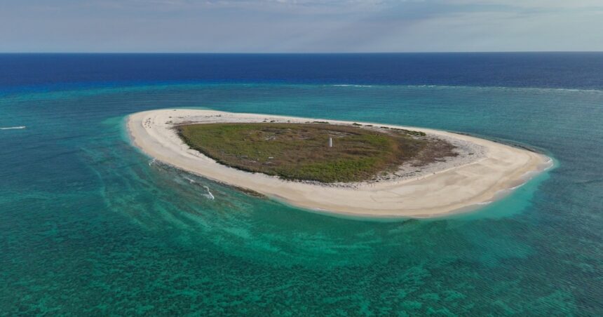 Drones εξάλειψαν ποντίκια στο Browse Island